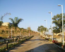Street-light poles installed along an outdoor roadway